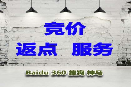 竞价推广SEM托管实战案例分析